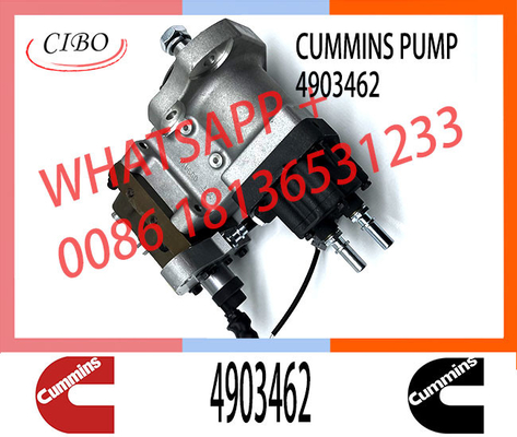 Cummins Diesel Engine Parts Cmmins QSL8.9 Fuel Pump 3973228 4954200 4921431 4903462