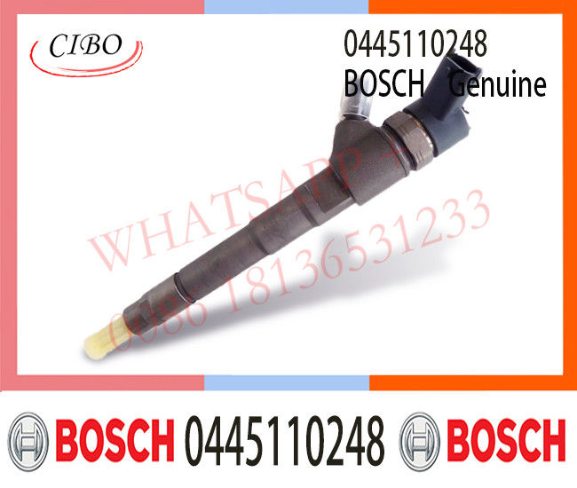 0445110247 0445110248 BOSCH Fuel Injector 504088823 504380117 71793015 2995472 For Iveco FAIT Hyundai